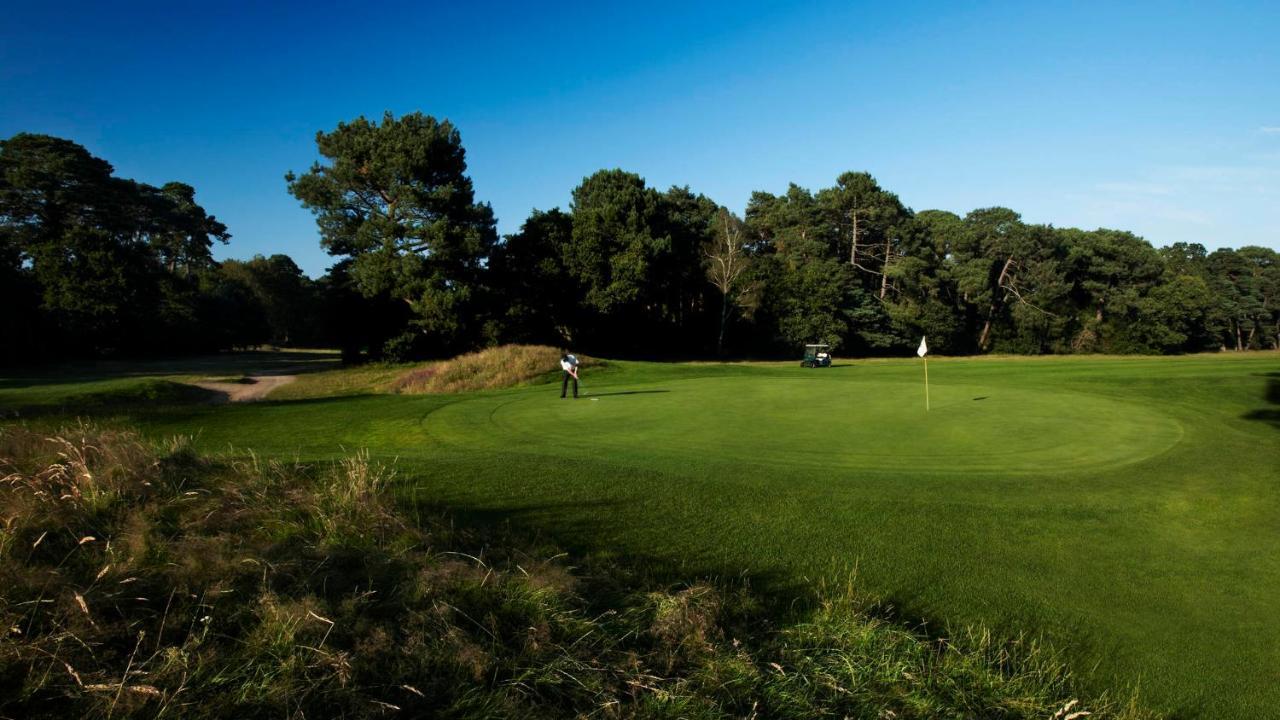 Luxury 3 Bedroom Apartment Close To Beach, Bournemouth & Meyrick Park Экстерьер фото